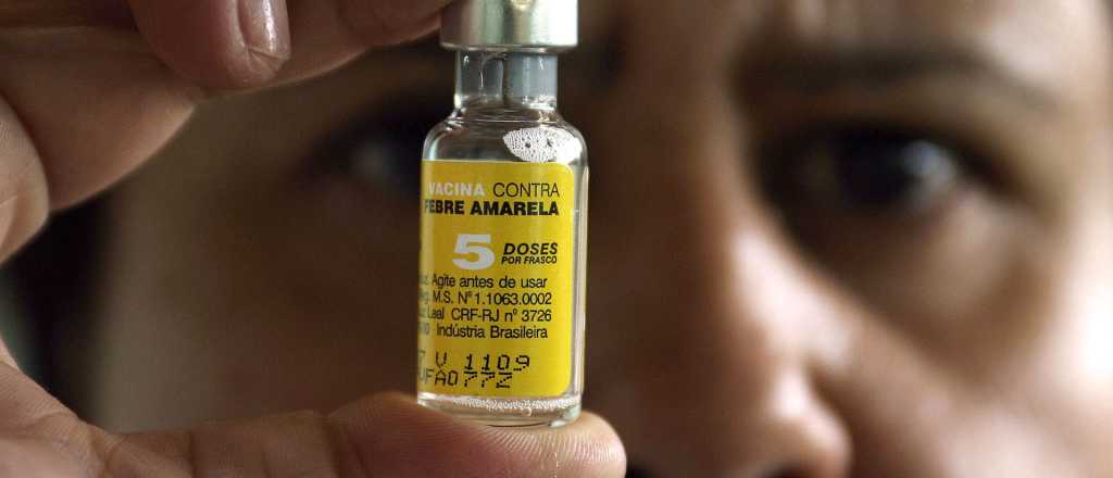 Primeros dos casos fatales de fiebre amarilla en la Argentina