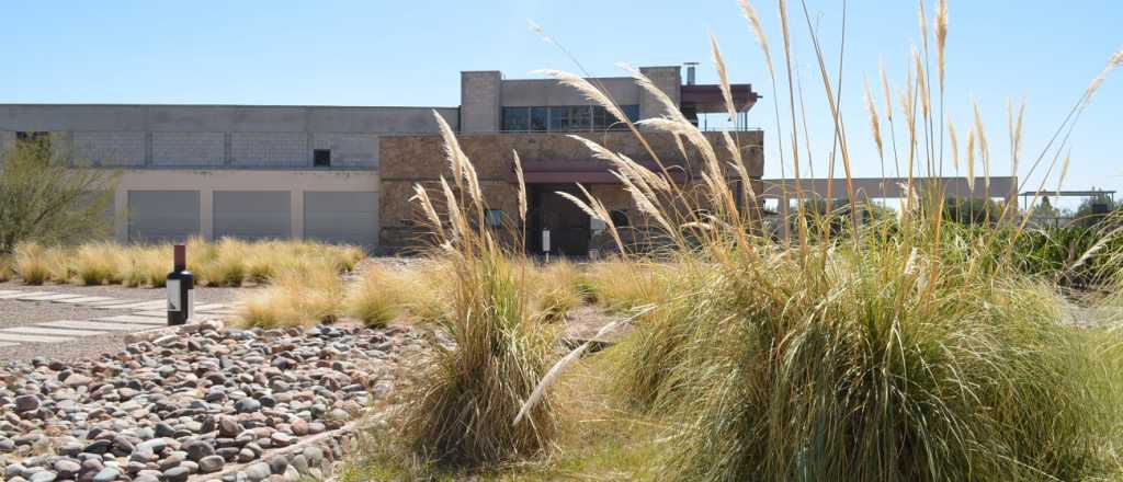 Visitando Bodegas: Tempus Alba