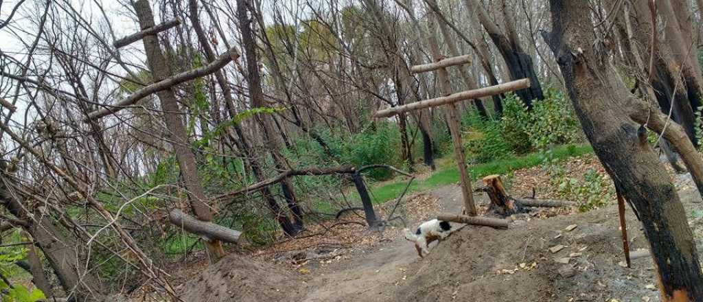 Un hombre descubri&oacute; ritos de magia negra en su campo