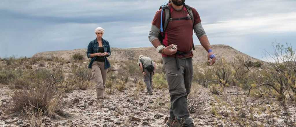 Hallaron restos fósiles en La Pampa de hace 50 millones de años