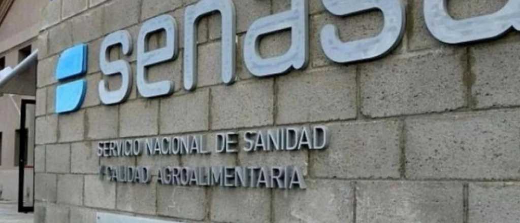 Renunció el Presidente del Senasa