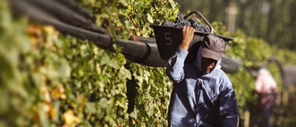 Entregaron fondos para 27 pymes vitivinícolas de Mendoza