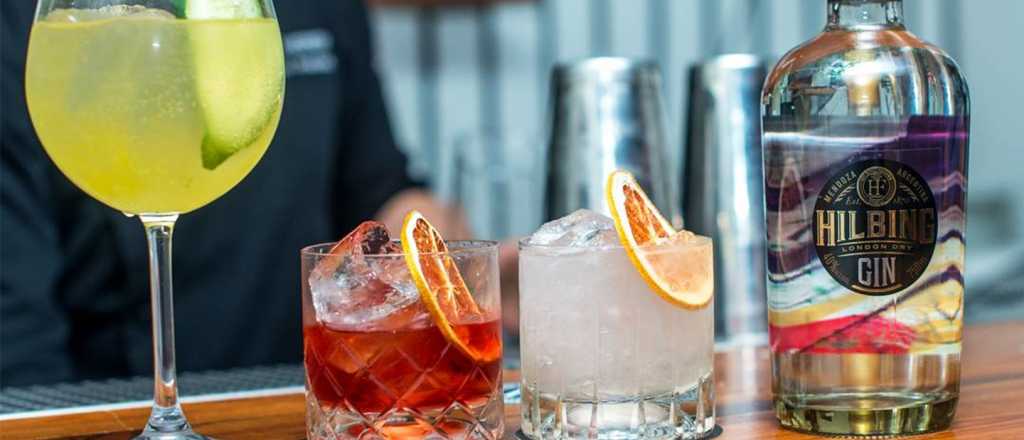 Un gin mendocino, entre los mejores del mundo