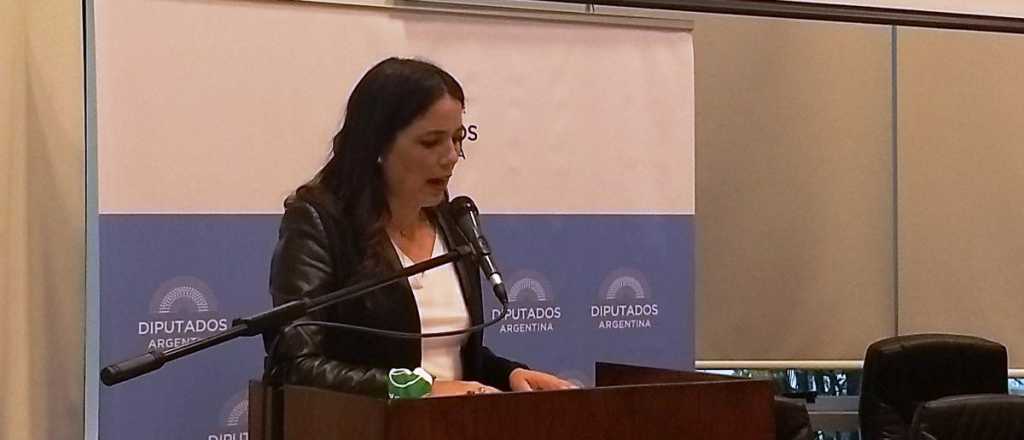Noelia Barbeito a favor del aborto legal en el debate en Diputados