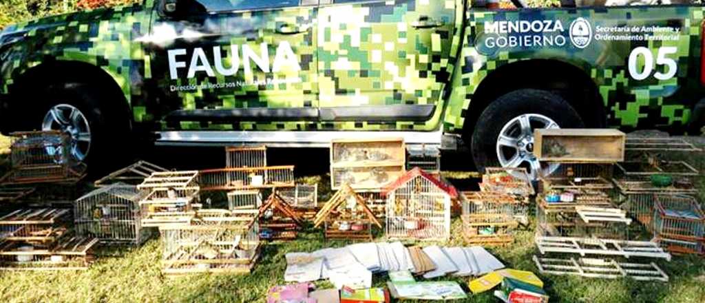 Tres detenidos por comercializar aves silvestres en General Alvear