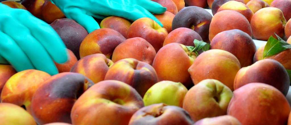 Una pyme mendocina elabora el primer snack frutal del país 