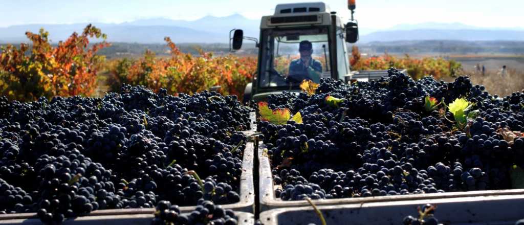 Comenz&oacute; la segunda etapa de cr&eacute;ditos para la reconversi&oacute;n vitivin&iacute;cola