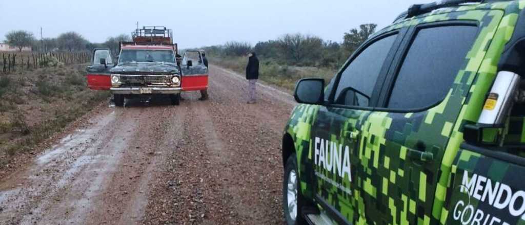 Detuvieron a dos personas que intentaban cazar de manera ilegal en Lavalle