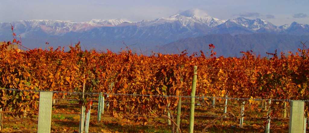 Postales que reflejan porqu&eacute; no es lo mismo el oto&ntilde;o en Mendoza