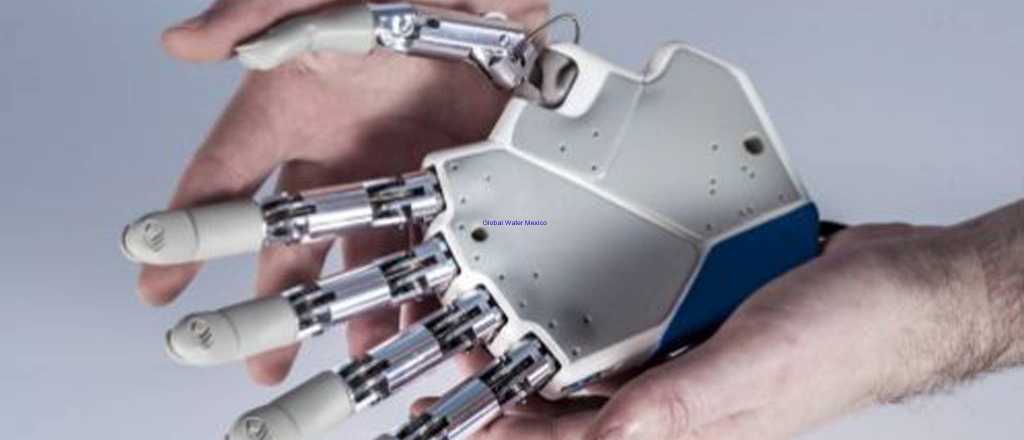 As&iacute; evolucionar&aacute; el hombre en el futuro