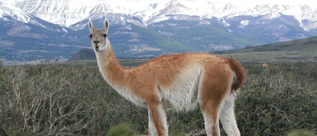 La Reserva Natural de &Ntilde;acu&ntilde;&aacute;n ser&aacute; promocionada en la ONU