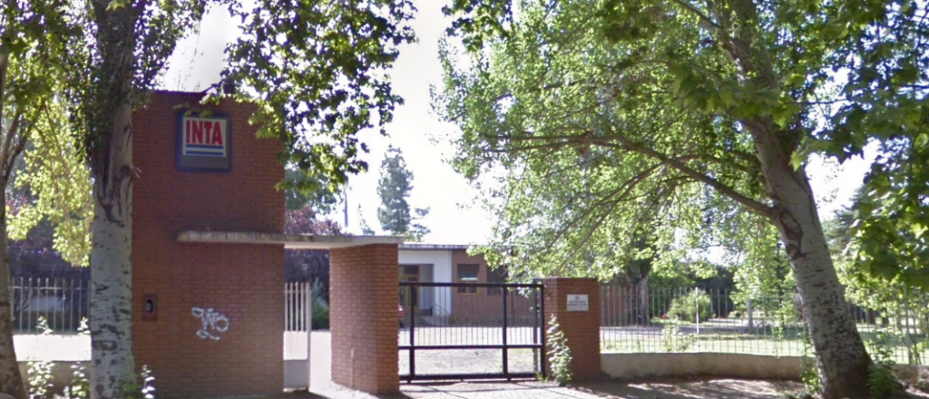 Qu&eacute; pasar&aacute; con el INTA Mendoza: ajuste sin despidos y reestructuraci&oacute;n