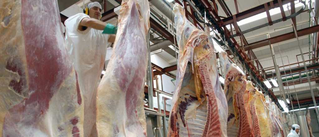 Subió la exportación de carne casi 50% respecto a 2018 