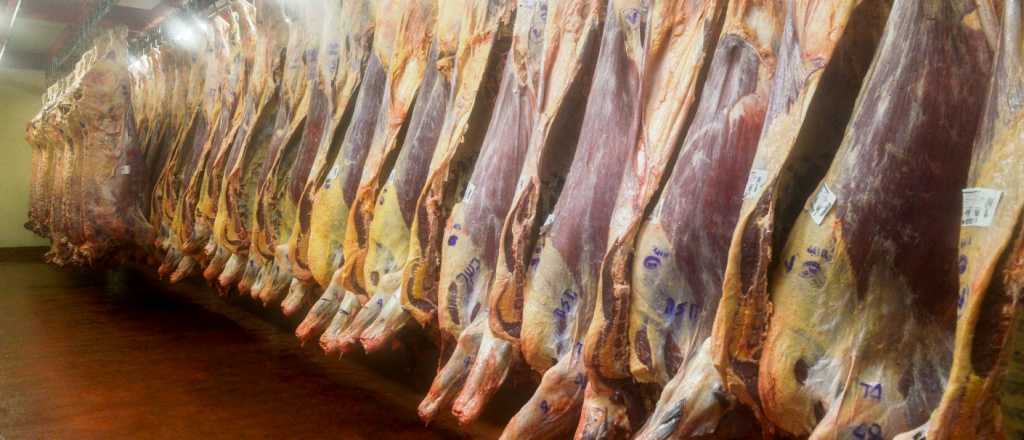 &iquest;Carne m&aacute;s cara?: Argentina tiene el menor stock bovino desde 2012