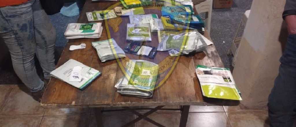 Cay&oacute; el acusado de un robo millonario de semillas 