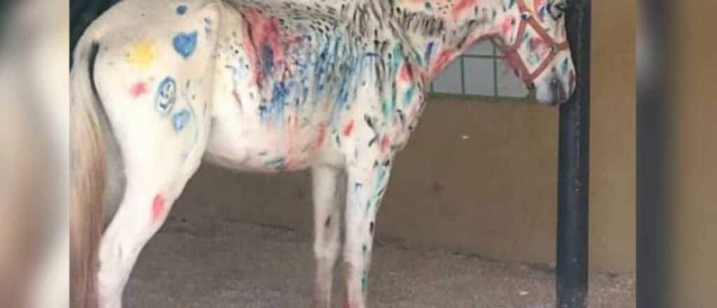 Maltrato animal: pintaron un caballo durante una actividad escolar
