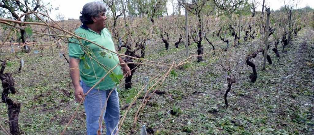 Mendoza comenzó a ayudar a productores afectados por la tormenta de granizo