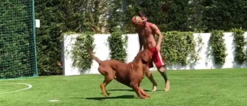 Video: Messi se entrena con su perro en su &uacute;ltimo d&iacute;a de vacaciones