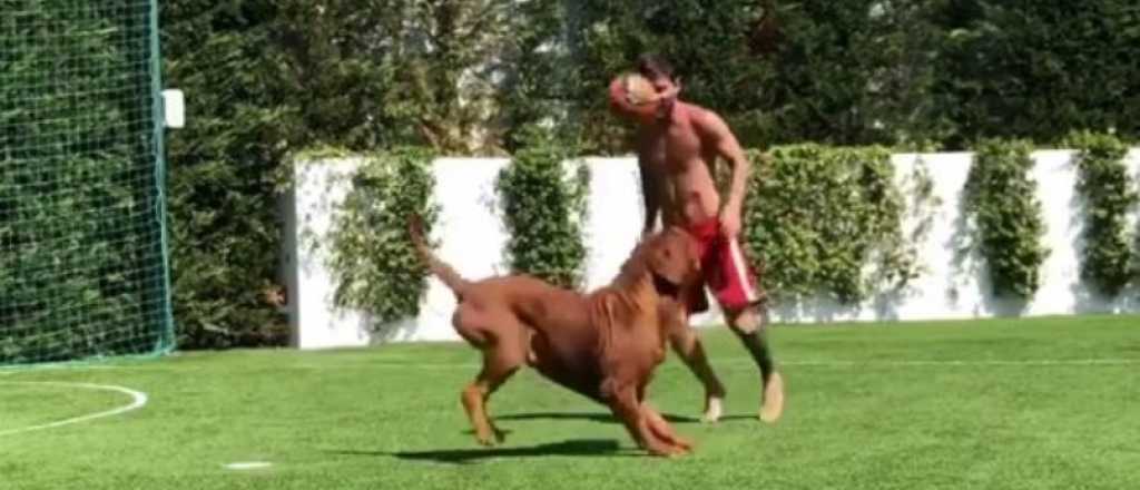 Video: Messi se entrena con su perro en su último día de vacaciones