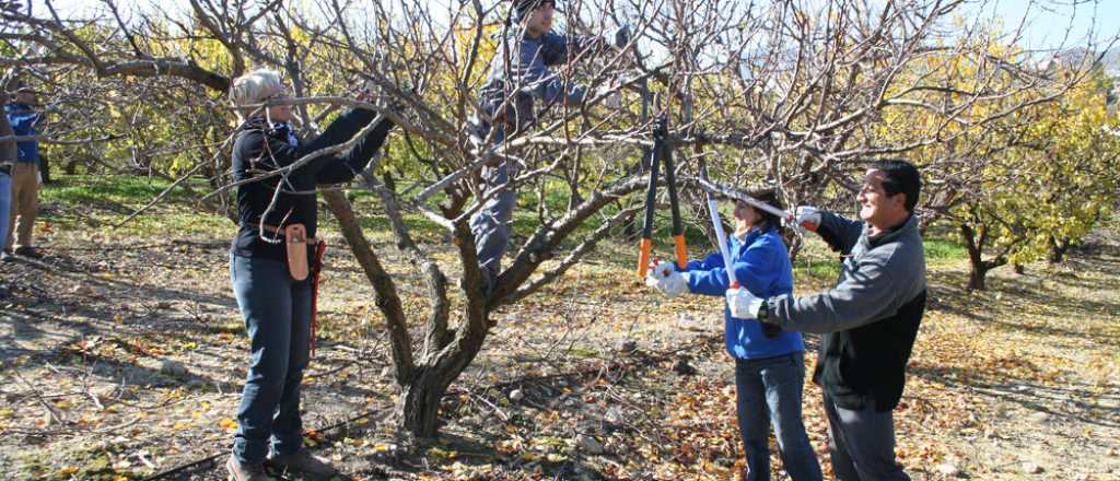 Entregaron financiamiento para mejora sanitaria de frutales
