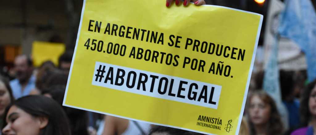 Amnistía Internacional le pidió a senadora que no vote contra el aborto legal