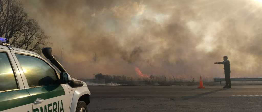 Hubo un incendio forestal en San Carlos