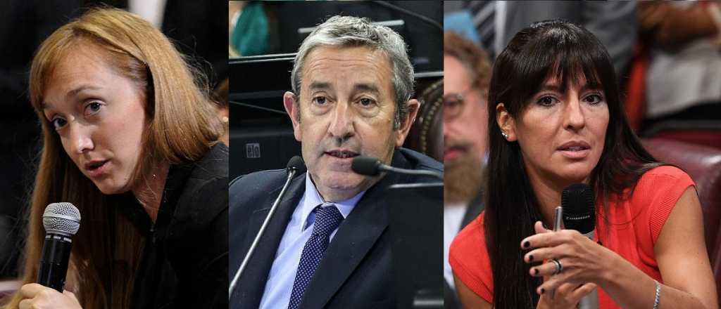 C&oacute;mo votaron y qu&eacute; dijeron los senadores mendocinos