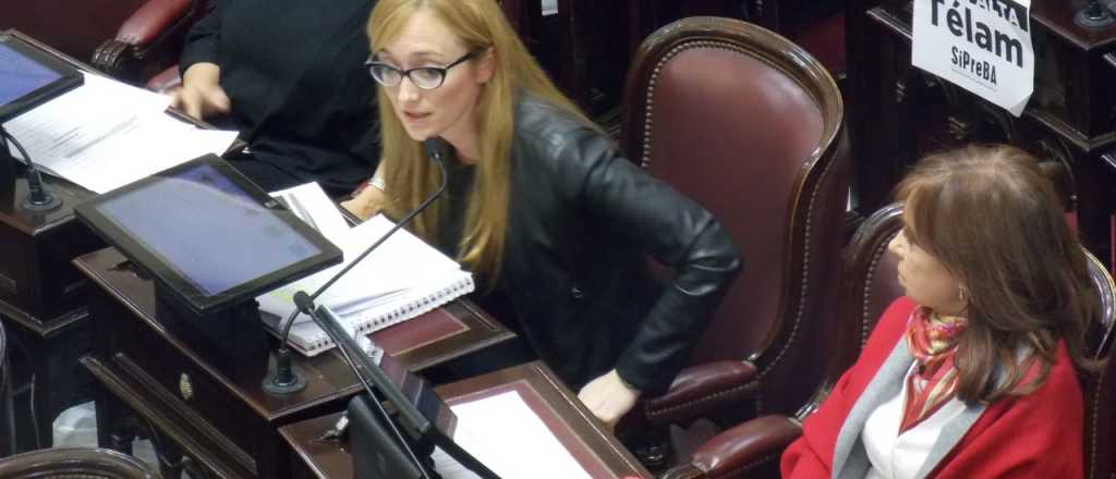 Quiénes son los senadores que no estaban para debatir los allanamientos a CFK