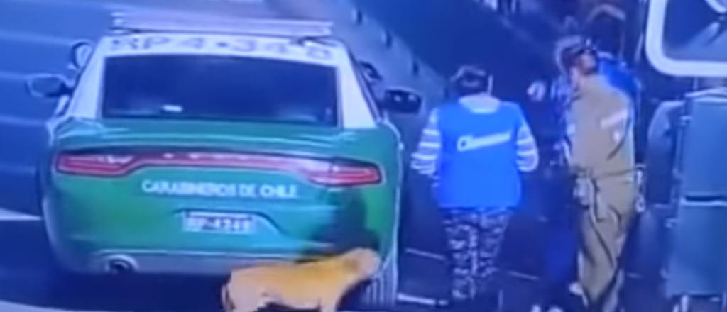 Video: carabinero chileno mat&oacute; a un perro en un procedimiento