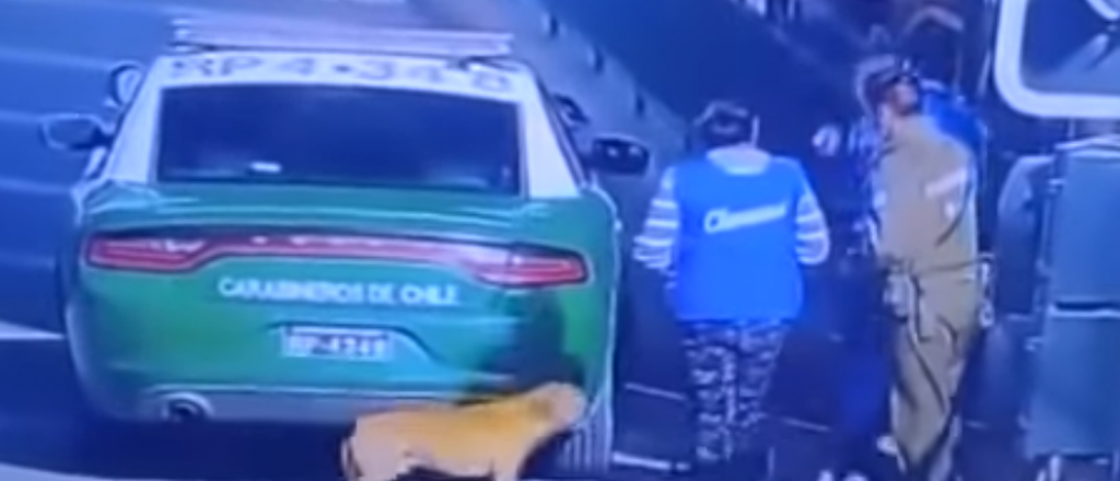 Video: carabinero chileno mató a un perro en un procedimiento