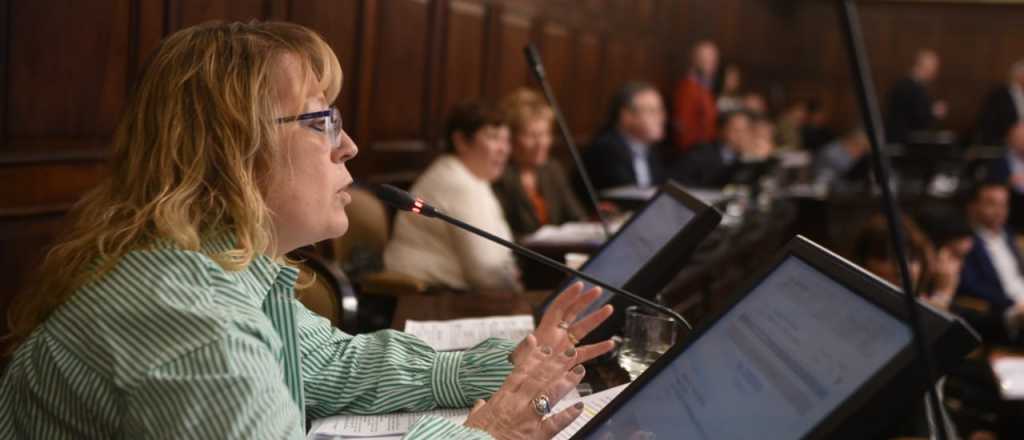 Piden la paridad de g&eacute;nero en la Legislatura mendocina