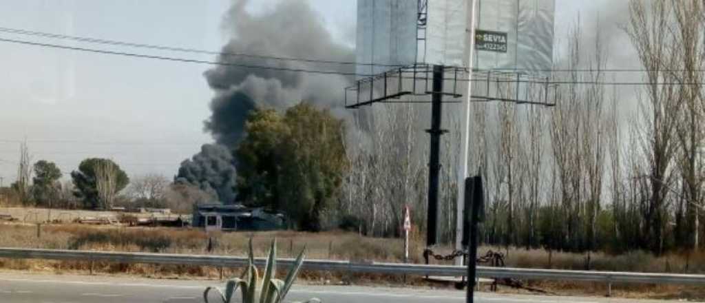 Video: sofocaron un incendio en una planta recicladora en Las Heras