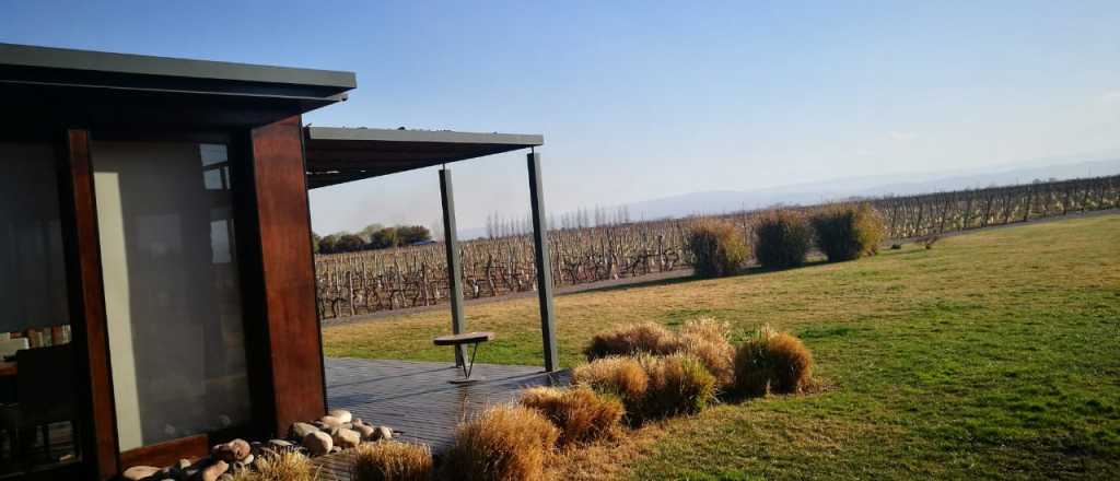 Visitando Bodegas: Ruca Mal&eacute;n, haciendo vinos con la fuerza de un dios