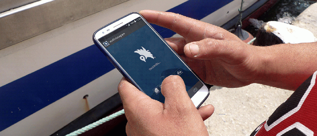 Si tu celular se puso lento aprendé cómo arreglarlo