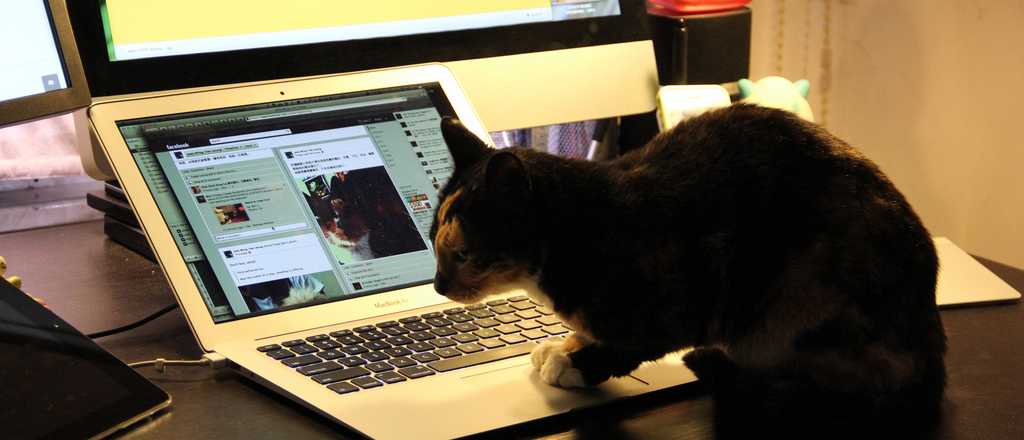 C&oacute;mo aparecer �conectado� a Facebook solo para algunos contactos