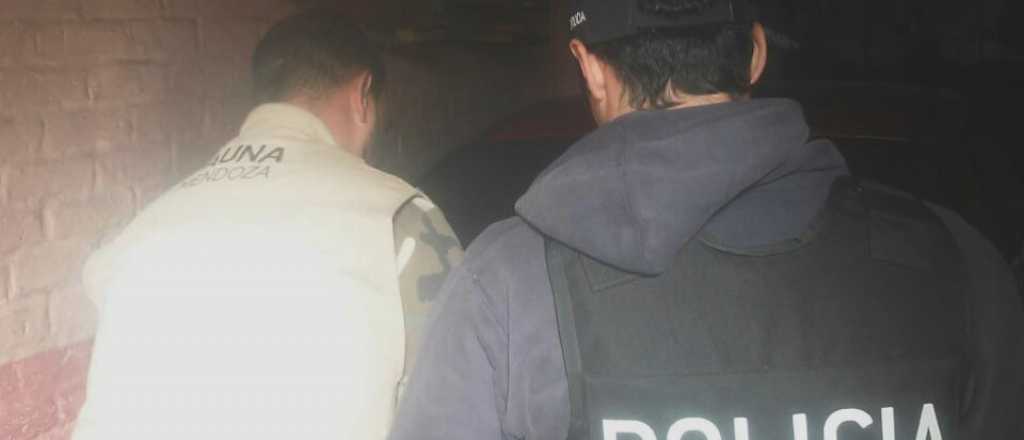 Cay&oacute; la banda de  "los wachos atrevidos"