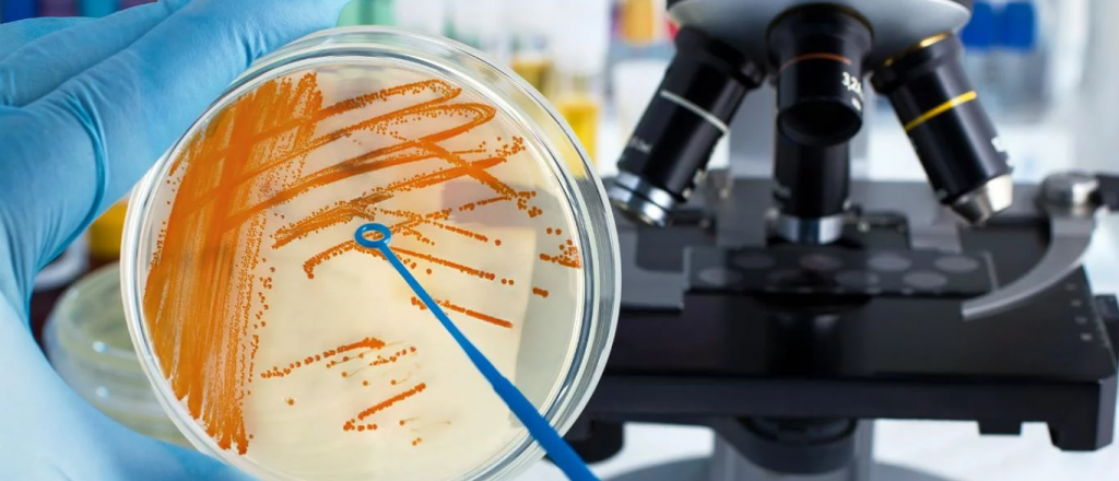 Un bebé de Río Negro es la sexta víctima fatal por estreptococo