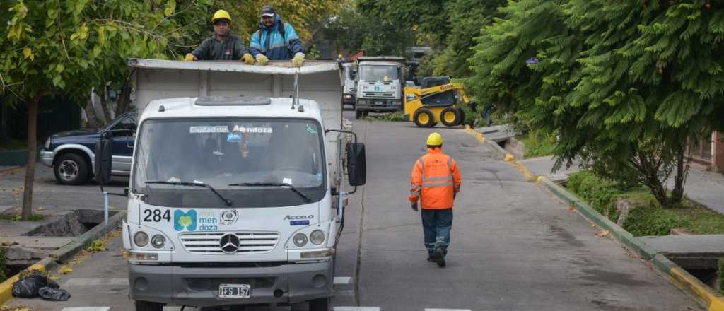 El tránsito en el barrio Bombal estará afectado por poda de árboles
