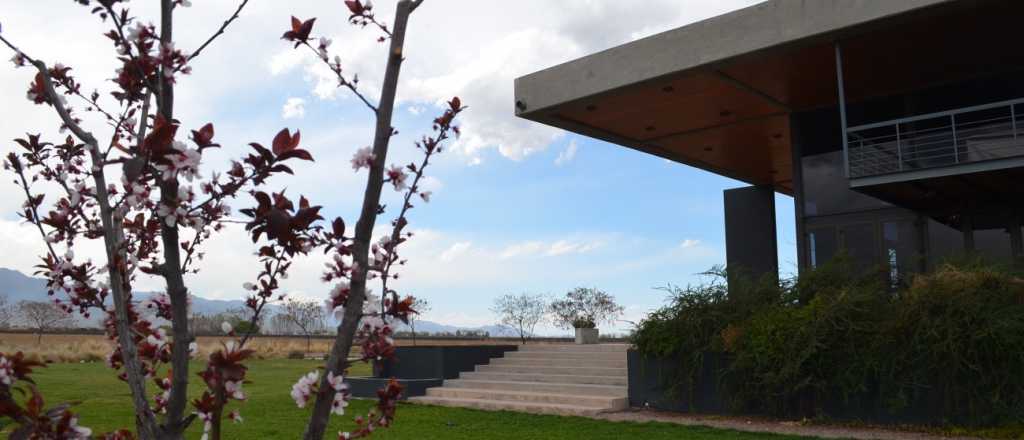 Visitando Bodegas: Otaviano, cuando la amistad se traduce en vino