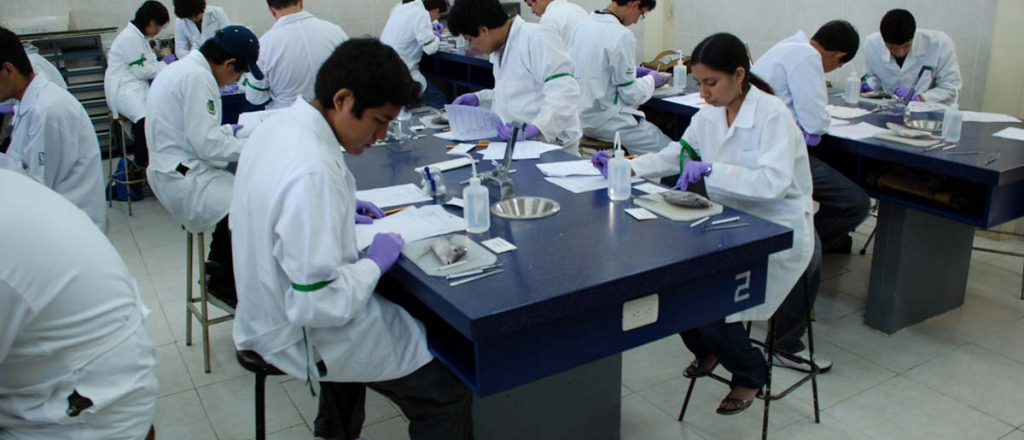 Una estudiante mendocina en el podio de las Olimpíadas de Biología 