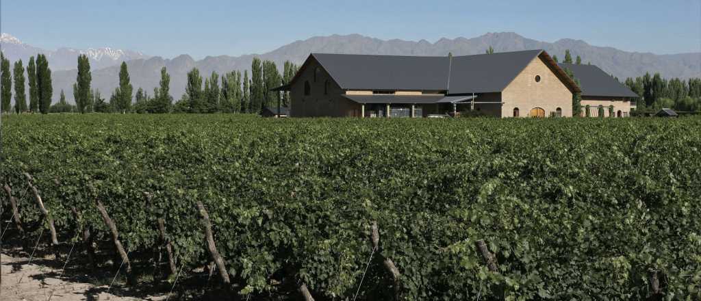 Robaron en la bodega de Susana Balbo