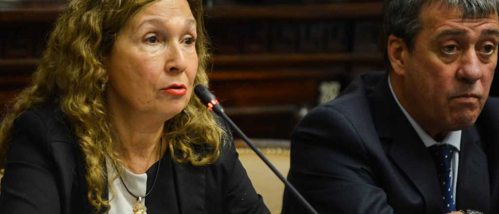 Fadel dijo que para reformar la 7722 se necesita consenso social y hoy no existe