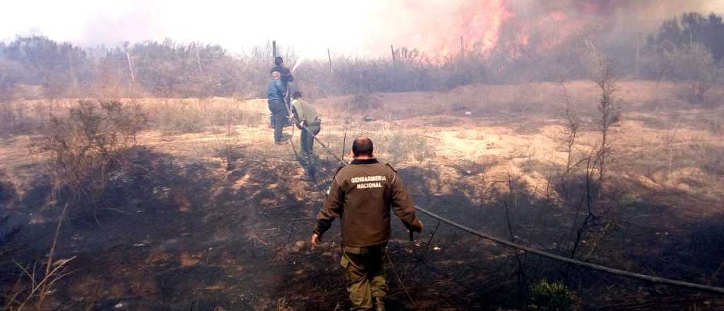 Un incendio quemó seis hectáreas en Luján de Cuyo
