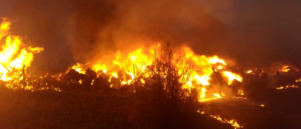 Desesperante incendio en Tunuyán