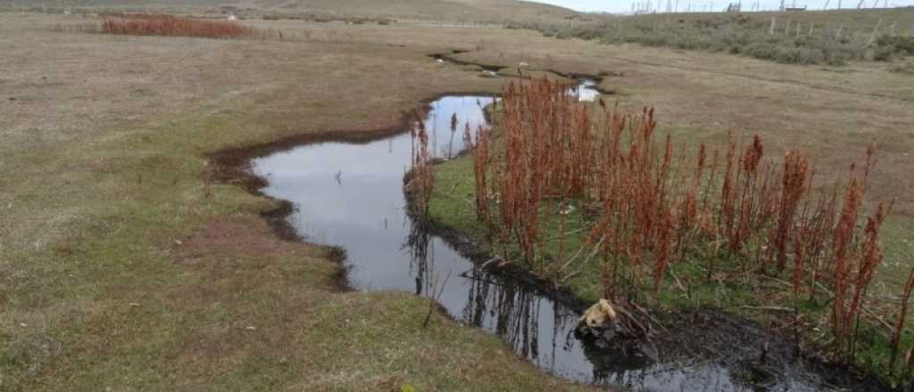 Una planta chilena operada por YPF derramó 720 mil litros en Tierra del Fuego