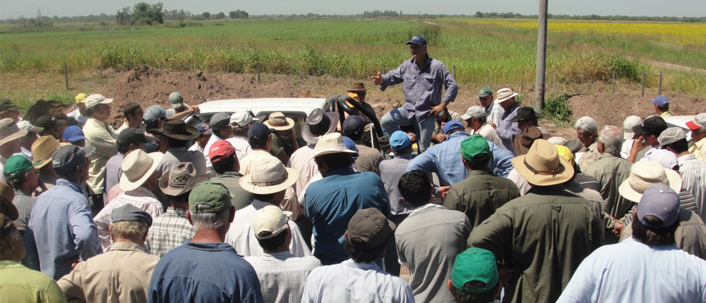 El campo analiza un paro en contra del cierre de las exportaciones de maíz