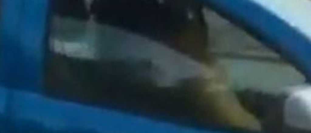 Video: una pareja fue filmada teniendo sexo en una autopista