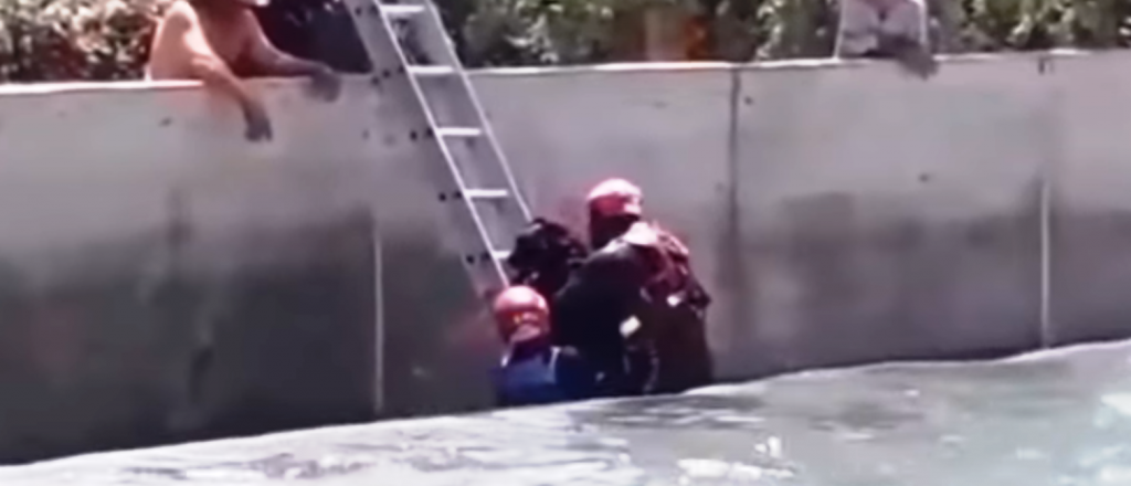 Video: rescataron a un perro del Cacique Guaymall&eacute;n