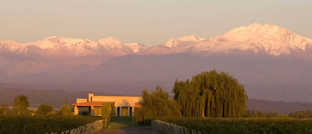 Cierra una tradicional bodega de Mendoza