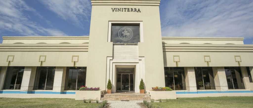 Los due&ntilde;os de Viniterra aseguran que solo "trasladan" la bodega